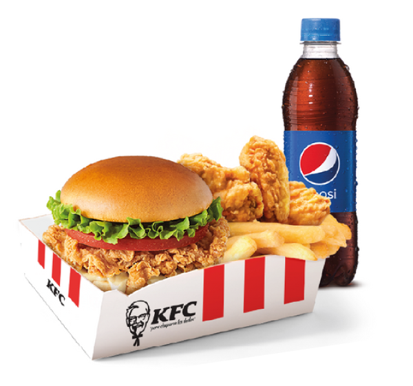 Inicio Registro Fábrica de